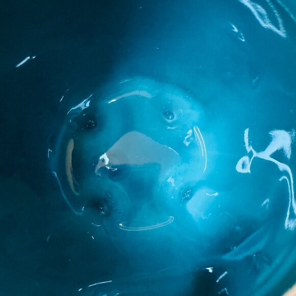 Charming Leopard Ceramic Mug With Leaf Theme - Picture 5 of 10